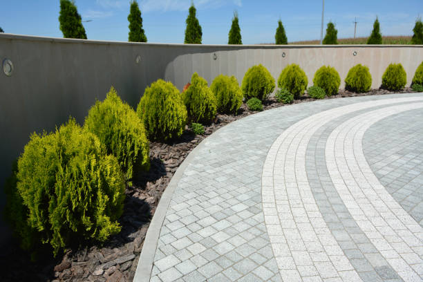 Best Driveway Pavers Near Me  in Johnson Creek, WI